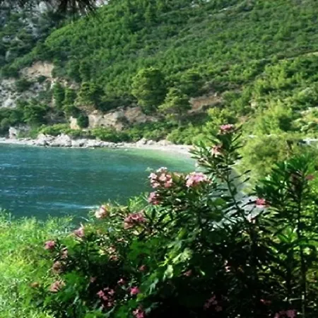 Fairytale Nerotriviá